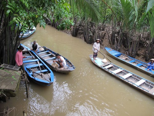 Về miền Tây chèo xuồng ba lá